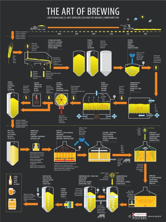 Brewing process explained — an infographic in 5 languages