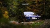 STeslou.cz  — a Tesla cars rental