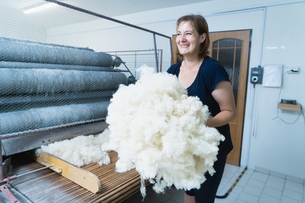 Wool (duvet) will make you happy and smiling all day long