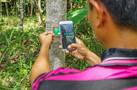 TREEO - Saving and Restoring forests in East Africa and Indonesia